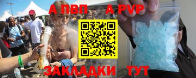 стаф Кунгур