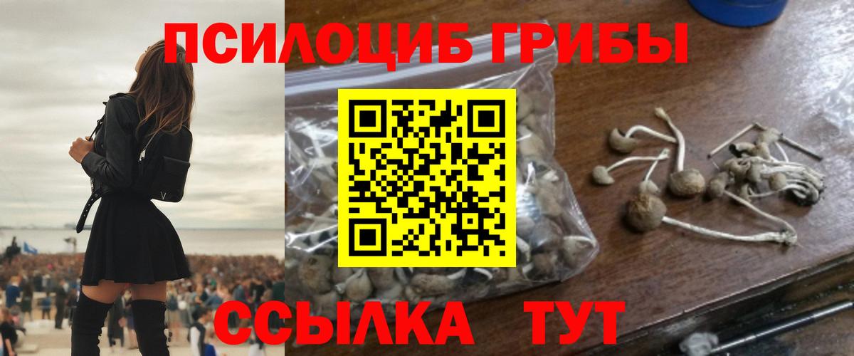 Дедовск  Псилоцибиновые грибы GOLDEN TEACHER  Вход с VPN 